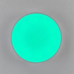 Светильник потолочный Citilux CL72470G0