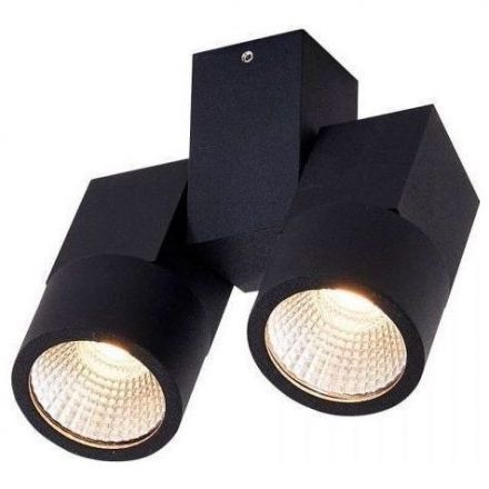 Спот Citilux CL556102