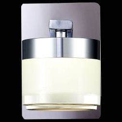 Светильник настенный ST Luce SL1600.101.01 SALTAGGIO