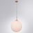 Подвесной светильник Arte Lamp A1564SP-1PB