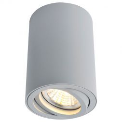 Светильник потолочный Arte Lamp A1560PL-1GY
