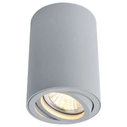Светильник потолочный Arte Lamp A1560PL-1GY