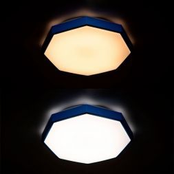 Потолочный светодиодный светильник Arte Lamp A2659PL-1BL