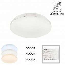 Потолочный светодиодный светильник Citilux CL71424SV Симпла