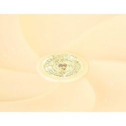 Потолочный светодиодный светильник Ambrella FF24 WH Air