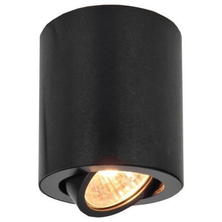 Спот поворотный Citilux CL538113