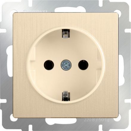 Розетка с з/к со шторками Werkel W1171110 шампань рифленый (WL10-SKGS-01-IP44)