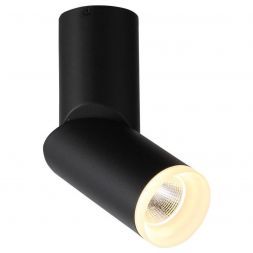 Светильник потолочный ST Luce ST107.402.10 TORTELLE