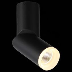 Светильник потолочный ST Luce ST107.402.10 TORTELLE