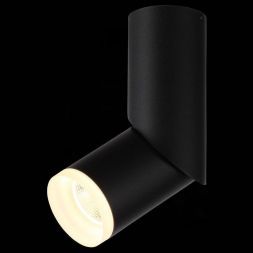 Светильник потолочный ST Luce ST107.402.10 TORTELLE