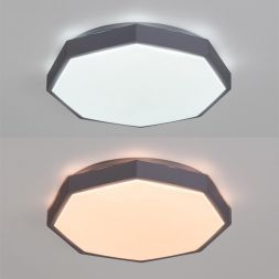 Потолочный светодиодный светильник Arte Lamp A2659PL-1WH