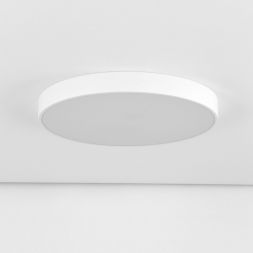 Светильник потолочный Citilux CL72495G0