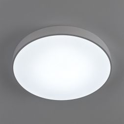 Светильник потолочный Citilux CL72495G0