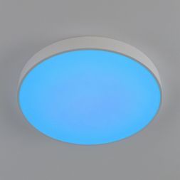 Светильник потолочный Citilux CL72495G0