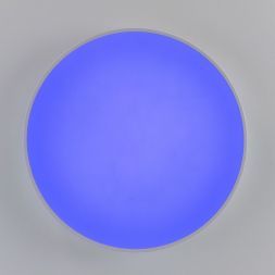 Светильник потолочный Citilux CL72495G0