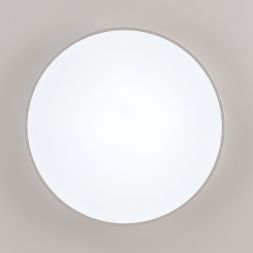 Светильник потолочный Citilux CL72495G0