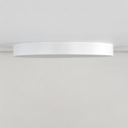 Светильник потолочный Citilux CL72495G0
