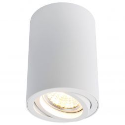 Светильник потолочный Arte Lamp A1560PL-1WH