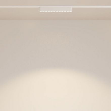 Трековый светодиодный светильник Maytoni Radity Points TR082-1-12W3K-M-W