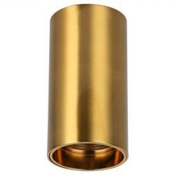 Потолочный светодиодный светильник Favourite 2796-1U Stirpe
