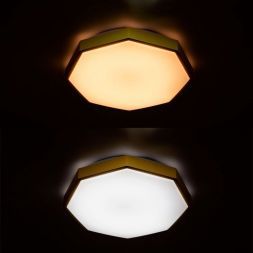 Потолочный светодиодный светильник Arte Lamp A2659PL-1YL