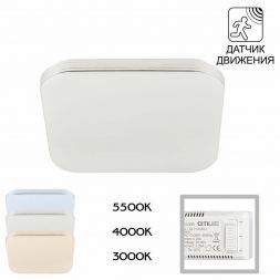 Потолочный светодиодный светильник Citilux CL714K24SV Симпла