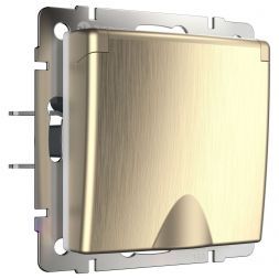 Розетка с з/к с крышкой и шторками Werkel W1171210 шампань рифленый (WL10-SKGSC-01-IP44)