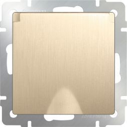 Розетка с з/к с крышкой и шторками Werkel W1171210 шампань рифленый (WL10-SKGSC-01-IP44)