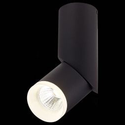 Светильник потолочный ST Luce ST107.442.10 TORTELLE