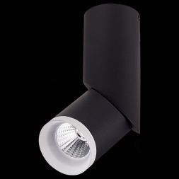 Светильник потолочный ST Luce ST107.442.10 TORTELLE