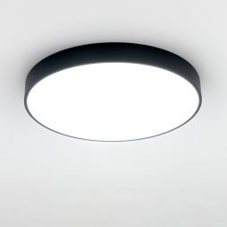 Светильник потолочный Citilux CL72495G1