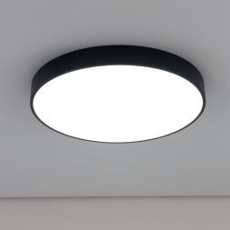 Светильник потолочный Citilux CL72495G1
