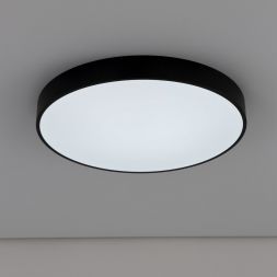 Светильник потолочный Citilux CL72495G1