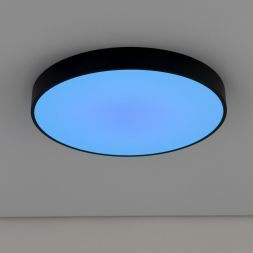 Светильник потолочный Citilux CL72495G1