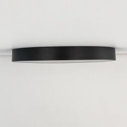 Светильник потолочный Citilux CL72495G1