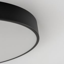 Светильник потолочный Citilux CL72495G1