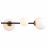 Подвесная люстра F-Promo Vials 3090-6P
