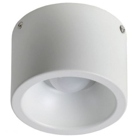 Потолочный светильник Favourite 1991-1C Reflector