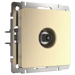 Розетка TV Werkel W1183010 шампань рифленый (WL10-TV)