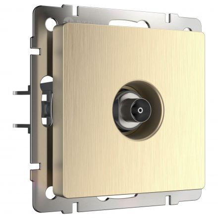 Розетка TV Werkel W1183010 шампань рифленый (WL10-TV)