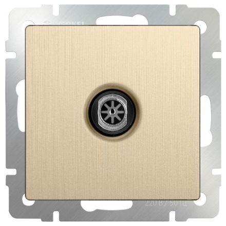 Розетка TV Werkel W1183010 шампань рифленый (WL10-TV)