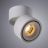 Светодиодный спот Arte Lamp A7715PL-1WH