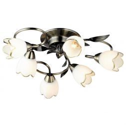 Потолочный светильник Arte Lamp A6061PL-6AB