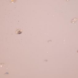 Потолочный светодиодный светильник Arte Lamp A2681PL-72WH