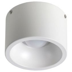 Потолочный светильник Favourite 1992-1C Reflector