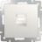 Розетка Ethernet RJ-45 Werkel W1181013 перламутровый рифленый (WL13-RJ-45)