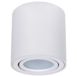 Потолочный светильник Arte Lamp Beid A1513PL-1WH