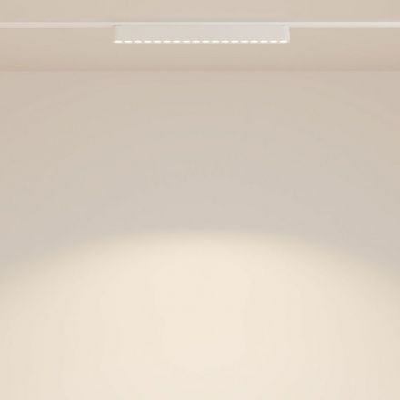 Трековый светодиодный светильник Maytoni Radity Points TR082-1-18W3K-M-W